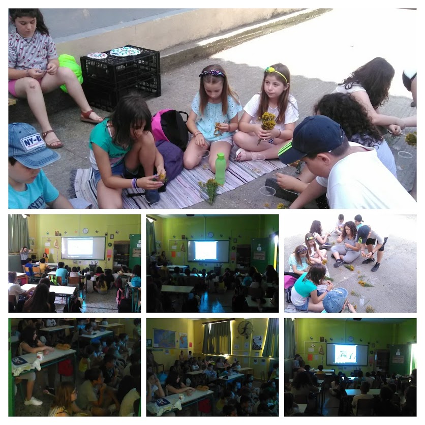 Δημιουργία σπαθόλαδου και παρουσίαση των προγραμμάτων μας