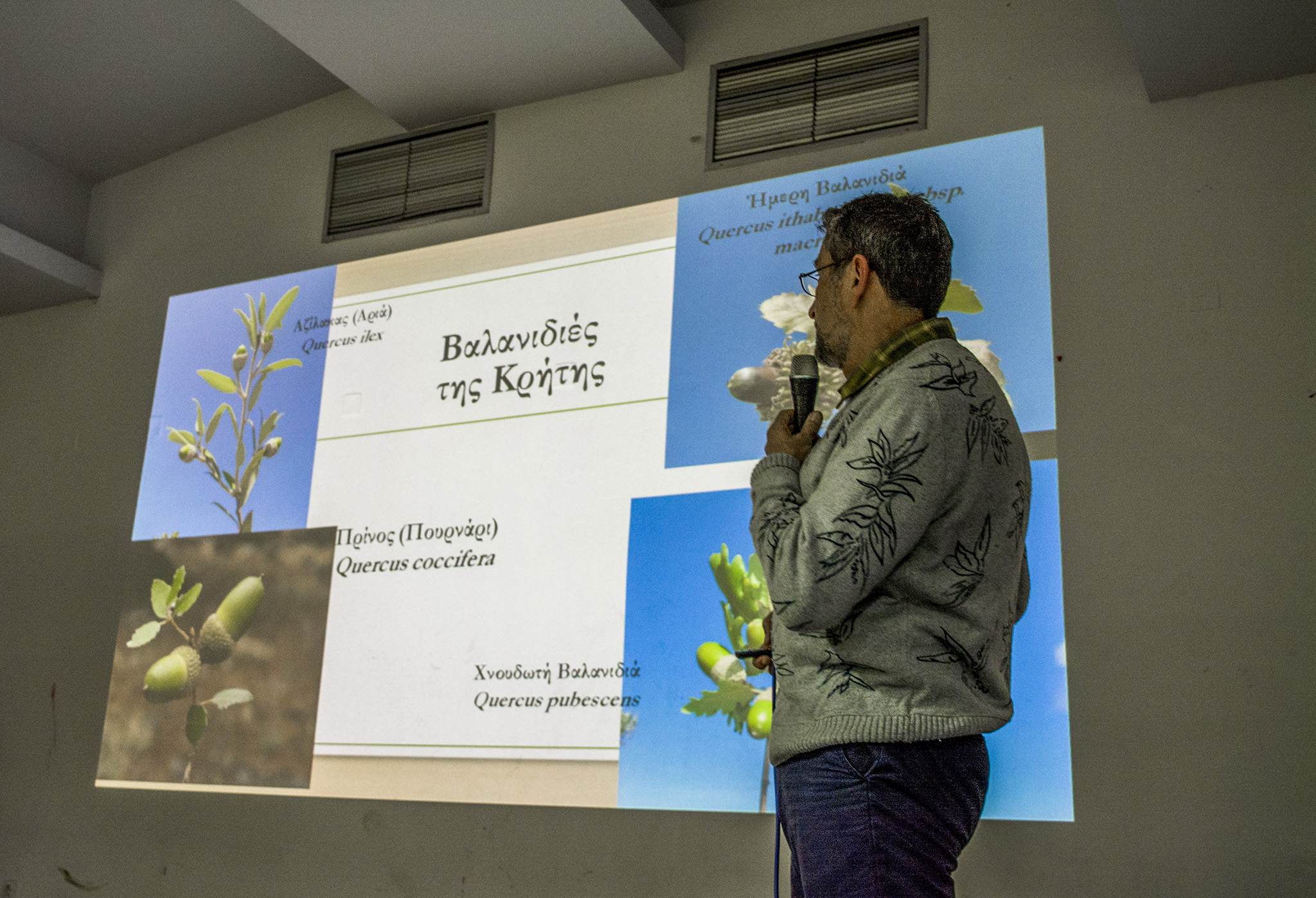 ΦΩΤΟ ΑΠΟ ΤΗΝ ΕΣΠΕΡΙΔΑ 2 ΦΩΤΟ ΑΠΟ ΤΗΝ ΕΣΠΕΡΙΔΑ 2