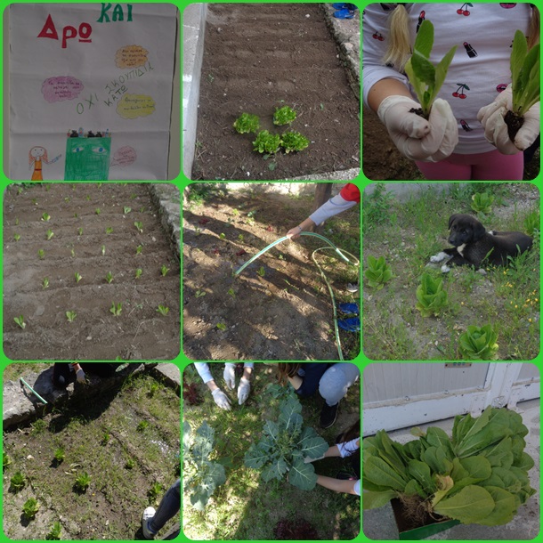 Φτιάχνουμε κήπο και τον φροντίζουμε Φτιάχνουμε κήπο και τον φροντίζουμε