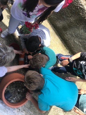 Οι "κηπουροί". Δράση του προγράμματος Οι "κηπουροί". Δράση του προγράμματος